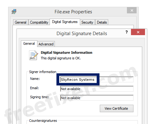 Screenshot of the SkyRecon Systems certificate